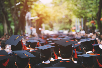 University / College / School